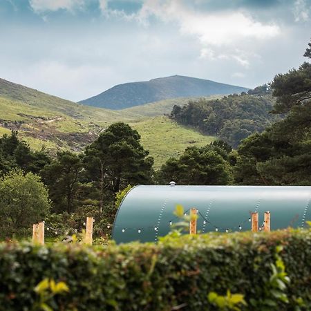 Further Space At Leitrim Lodge Luxury Glamping Pods Mourne Mountains Newcastle  Exterior foto